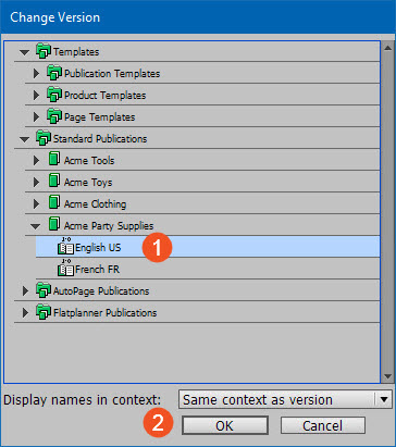 Programversion Display Setting Template Preferences and Selecting a Version