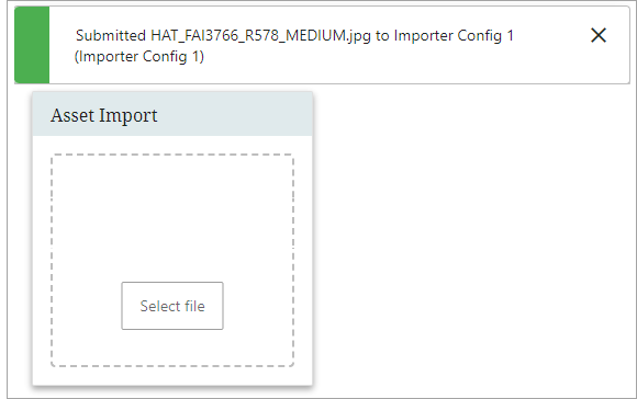 Asset Importer Widget
