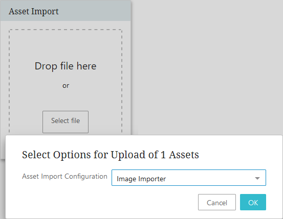 Asset Importer Widget