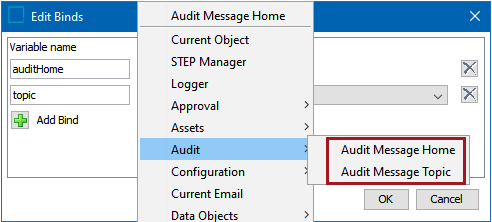 Audit Message Framework JavaScript Binds and Public JavaScript API Methods