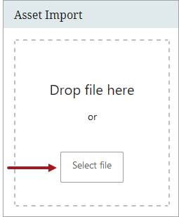 Asset Importer Widget
